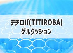 ゲルクッション TITIROBA チチロバ 腰痛 お尻が痛い