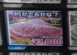 青森 面白い自販機 肉ガチャ